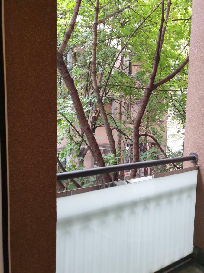 Metropol Lux Apartment Belgrade Vracar Zewnętrze zdjęcie