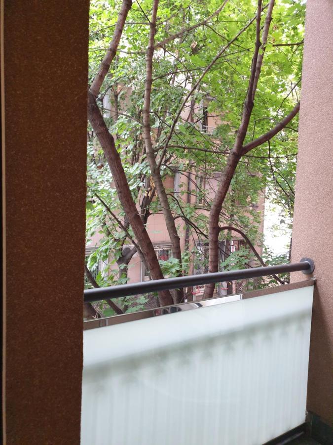 Metropol Lux Apartment Belgrade Vracar Zewnętrze zdjęcie